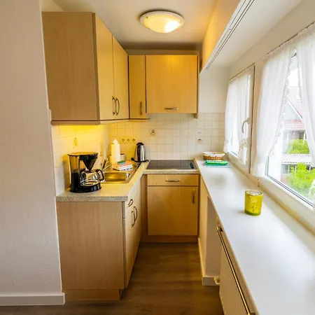 Strandflieder * נורדרני