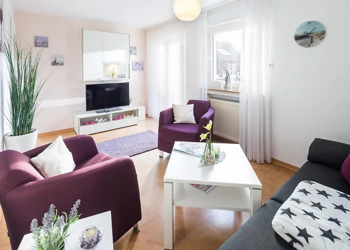 Strandflieder 诺德奈